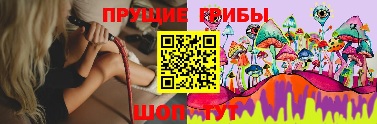 Одинцово  Галлюциногенные грибы MAGIC MUSHROOMS  Вход с VPN 
